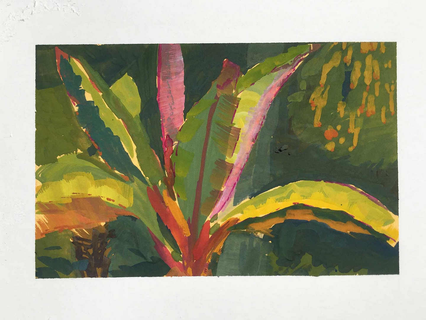 PleinAir_Palm